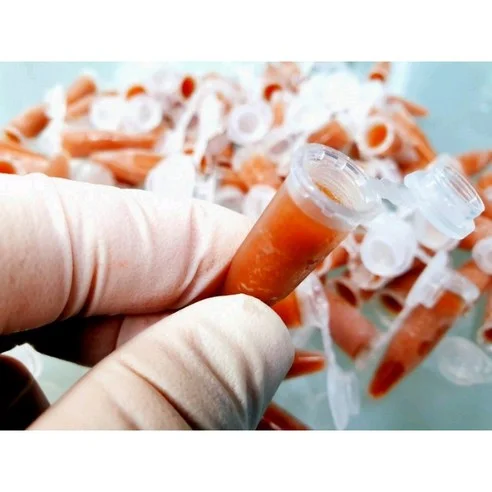 Read more about the article 가성비 최고! 열대어 사료의 진정한 선택, 브라인쉬림프 5종 추천