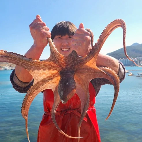 Read more about the article 후회 없는 선택! 실제 후기 포함 통영 활 돌문어 리뷰