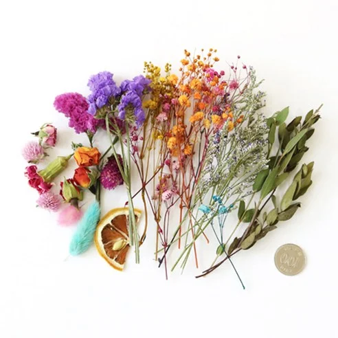 Read more about the article 드라이플라워 선택 가이드: 진짜 대박난 5종 제품 후기 포함 추천