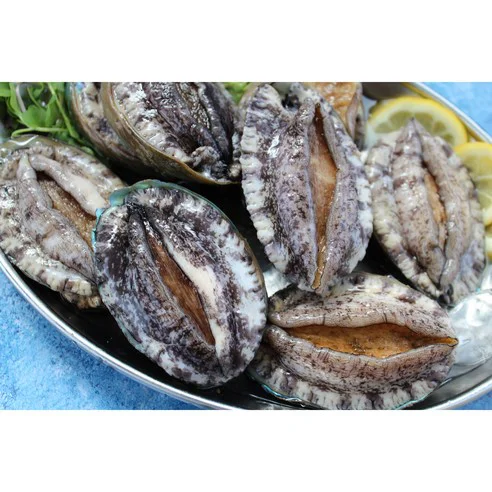 Read more about the article 진짜 대박난 완도 활전복 추천! 후기 포함 가이드