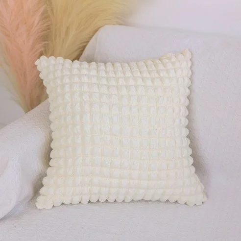 Read more about the article 진짜 대박난 쿠션커버 추천 리뷰!