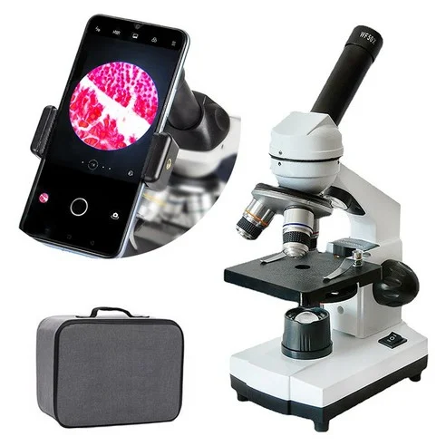 Read more about the article 최고의 광학현미경 추천 가이드: 후회 없는 선택!