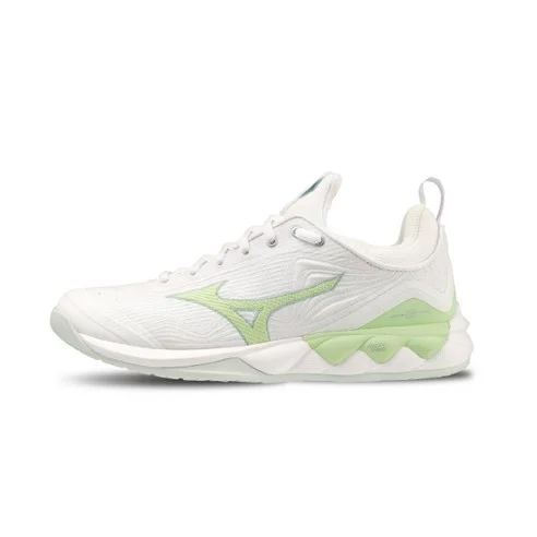 Read more about the article 최고의 미즈노 배드민턴화 추천! 찐후기 포함