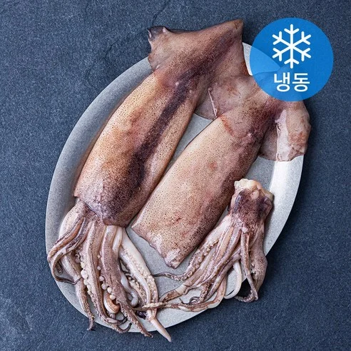 Read more about the article 최고의 오징어 추천 가이드! 찐후기로 선택하세요!