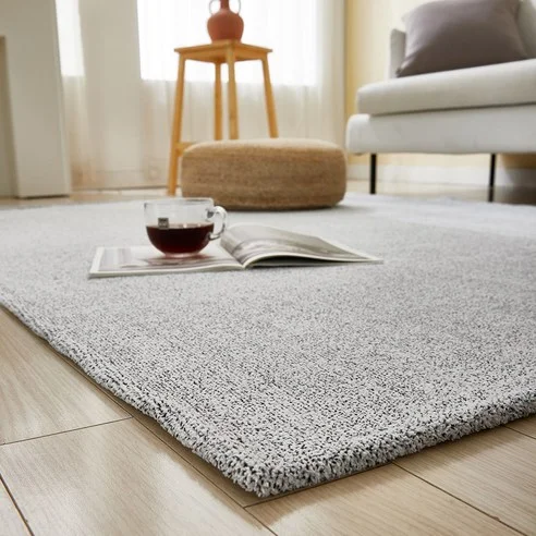 Read more about the article 후회 없는 사계절 러그 추천! 실제 후기 포함