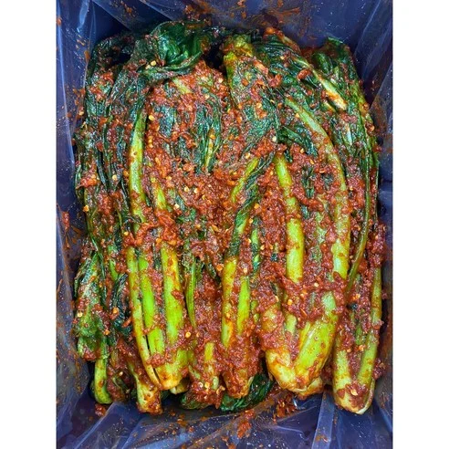 Read more about the article 후회 없는 선택! 최고의 갓김치 리뷰와 비교