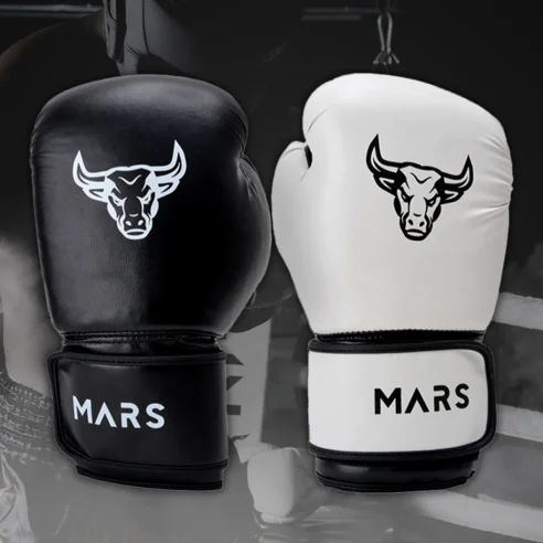 Read more about the article 후회 없는 최고의 복싱 글러브 추천! 실제 후기 포함