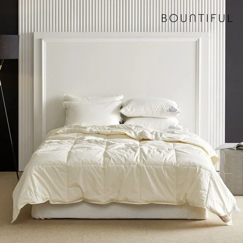 Read more about the article 후회 없는 호텔식 양모이불 추천! 찐후기 분석